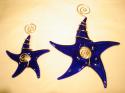 Cobalt Starfish